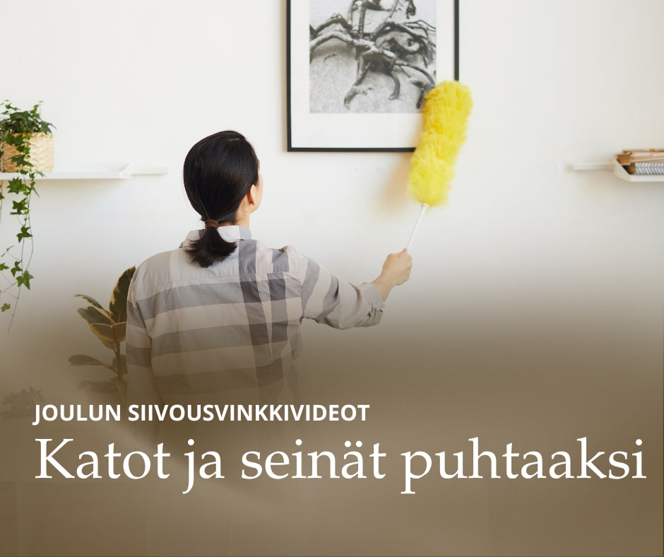 Kattojen ja seinien puhdistus